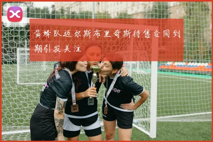 黄蜂队迈尔斯布里奇斯待售合同到期引发关注
