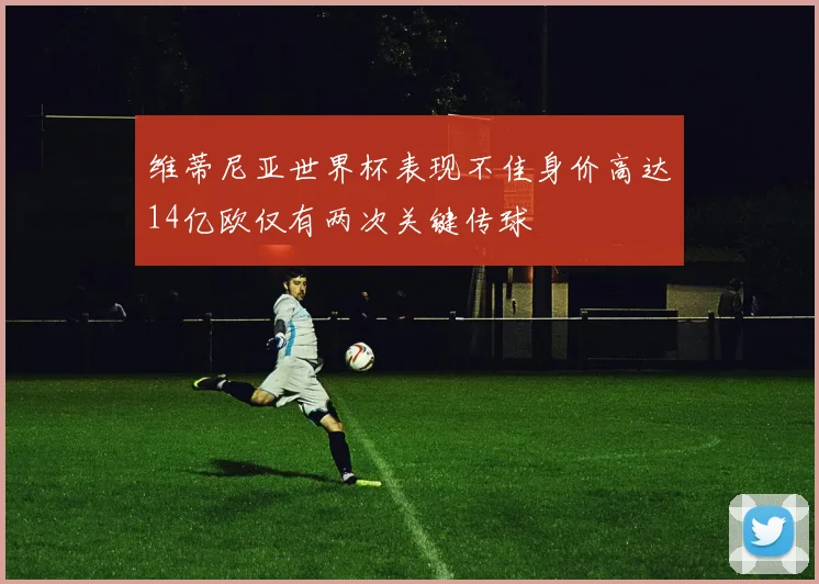 维蒂尼亚世界杯表现不佳身价高达14亿欧仅有两次关键传球